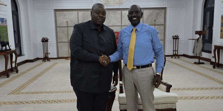 Zimbabwean Tycoon Praises Ruto After a Good Time at State House