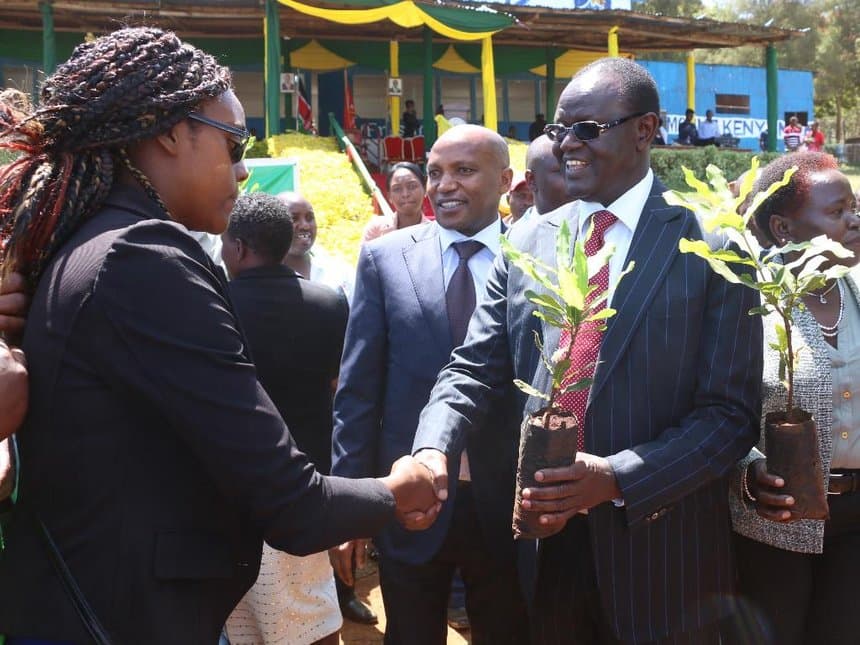 Government to provide Meru farmers with free macadamia seedlings to double production