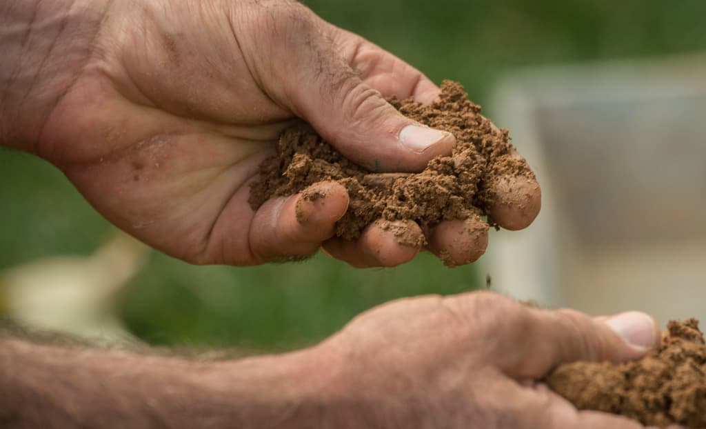 Soil Carbon Release Could Accelerate Climate Change, Study Finds