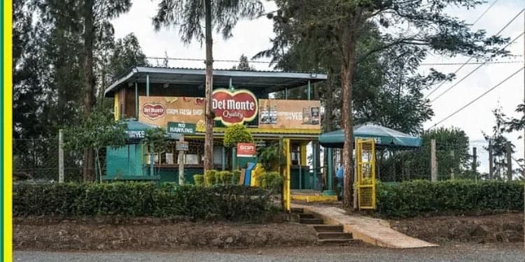 Govt Targets Del Monte’s 21.7 Hectares Land for Takeover
