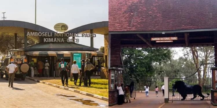 How Much Kenyans Will Pay to Visit National Parks Under New KWS Fees
