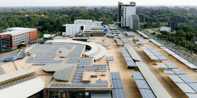 Opinion | Why Africa’s Twin Crisis of Energy Poverty and Climate Change Needs Partners Like the UAE