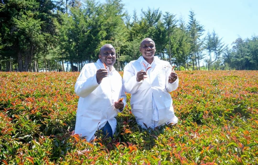 From cattle tracks to coffee farms in Baringo County