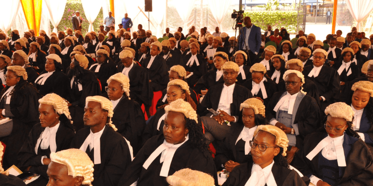 KUCCPS Cut-Off Points for Bachelor of Laws and Universities Offering It
