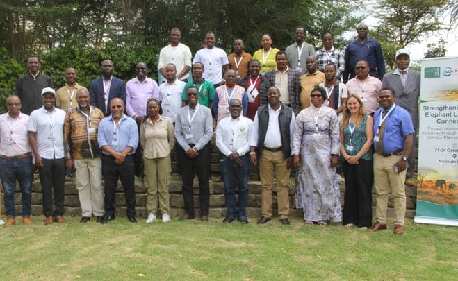 African countries seek stronger elephant corridors to curb human-wildlife conflict