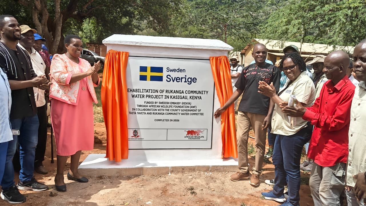 Sh4.6 million water project boosts access for 800 households in Taita Taveta