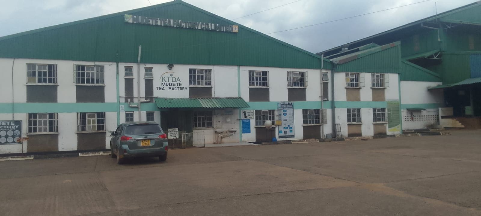 How tea farming continues to sustain families and shape the future of Vihiga