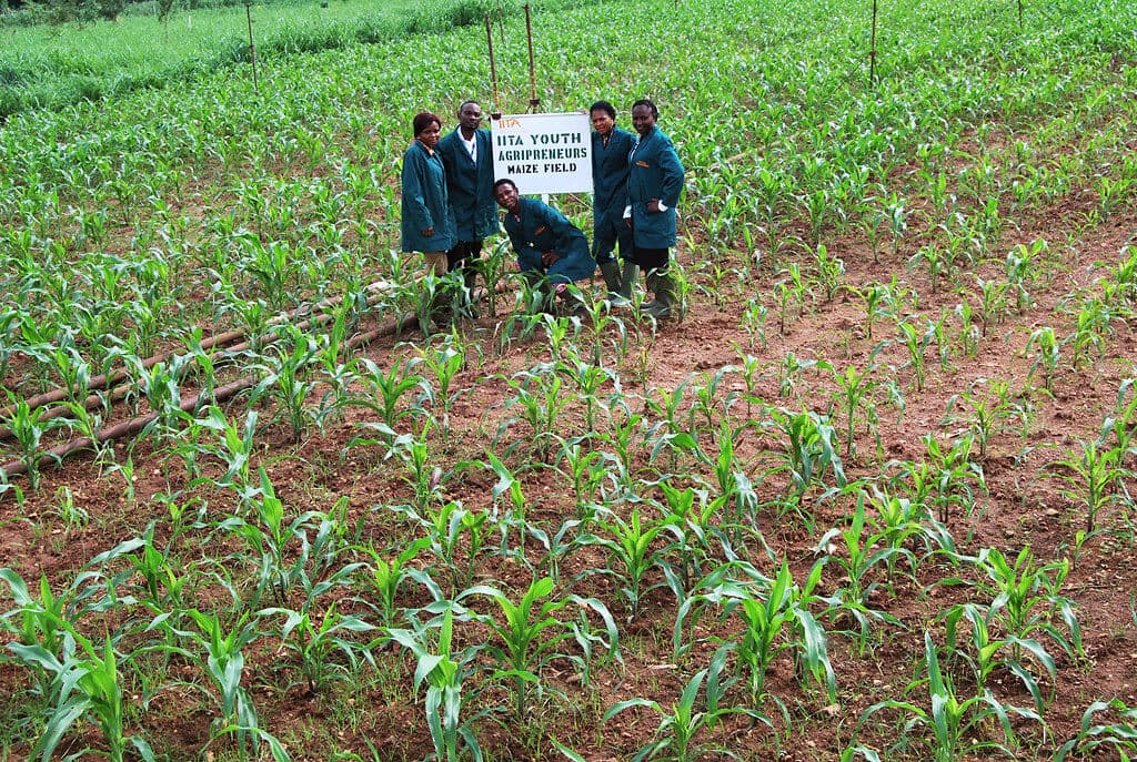 Govt experiments with billion shilling investment to create 7,500 agripreneurs
