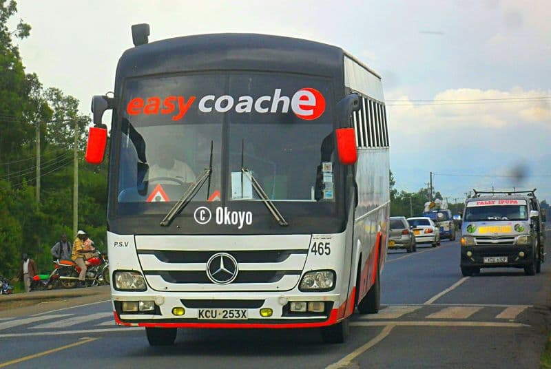 Everything About Easy Coach Buses, Booking, Routes and Ticket Prices in 2024