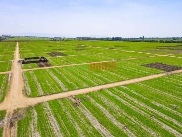 The New Look of Havanna Estate Nakuru