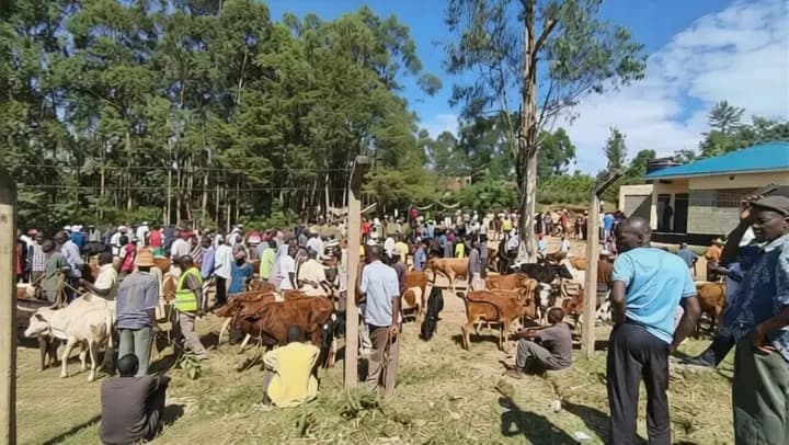 Vihiga lifts Anthrax quarantine