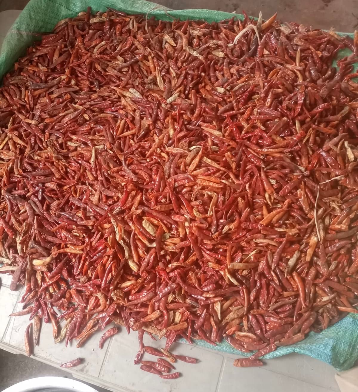 Farmer doubles pepper profits with sun-drying