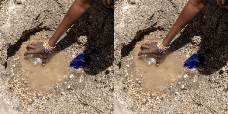 Drought Crisis Pushes Families to Boil Wild Fruits for Survival