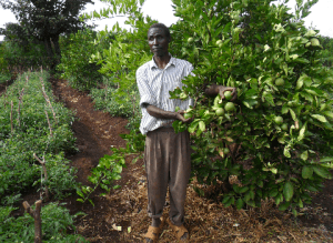 Blind farmer leads agriculture revolution in Meru