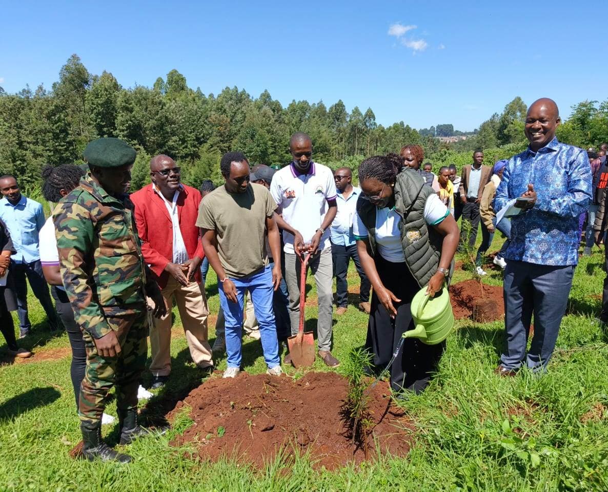Kericho Judge calls for collective action on climate change through tree planting