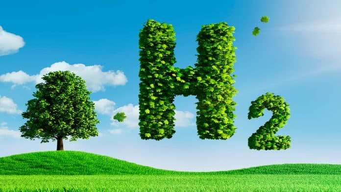 Kenya is leading the way for a Net Zero Economy driven by Green Hydrogen