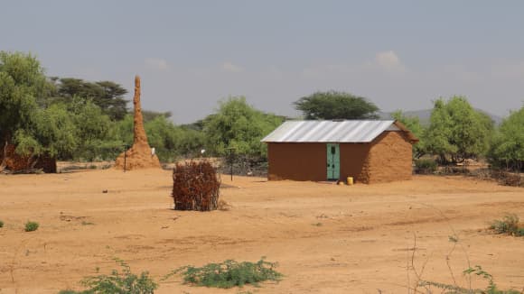 Critical Medical Supply Shortage Hinders Kala-azar Response in Wajir