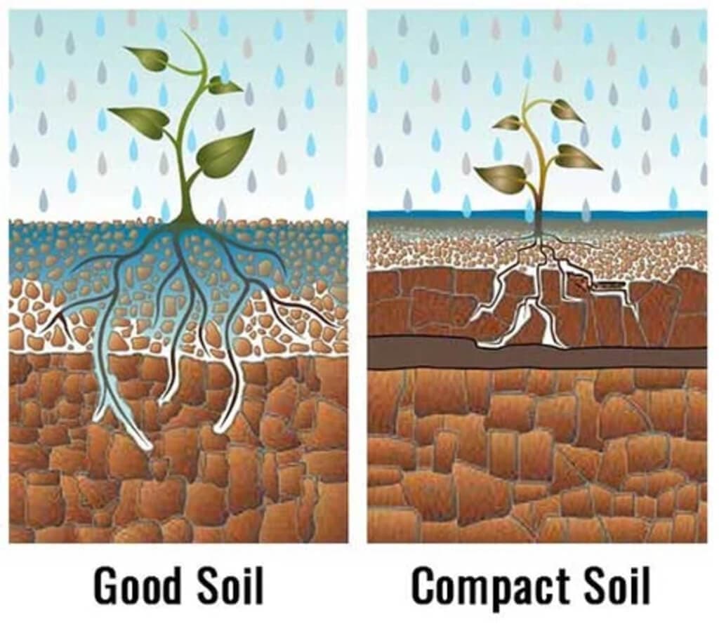 Soil compaction robs farmers of 60% of their yield