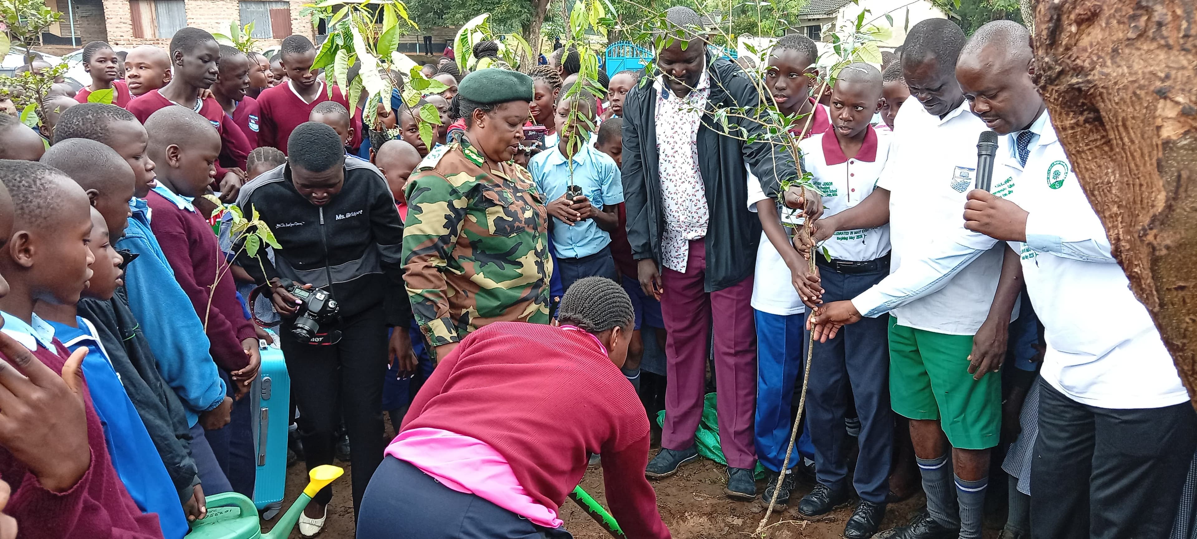 Homa Bay intensifies reforestation drive amid invasive species threat