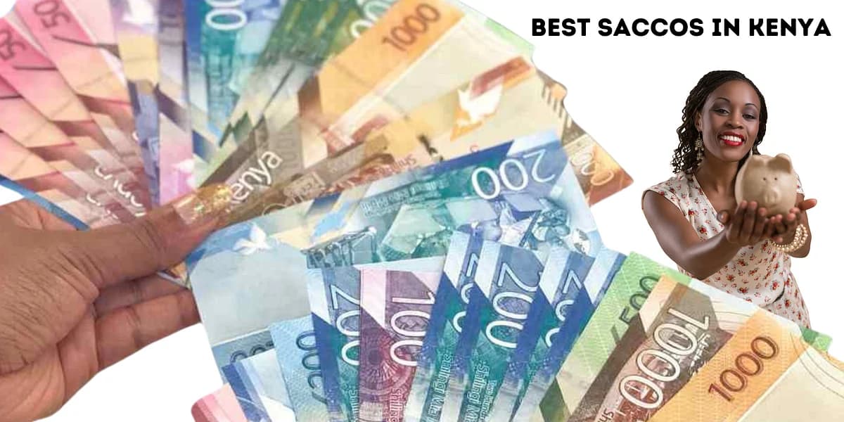 Delay in Cash Refunds Tops SACCO Member Complaints