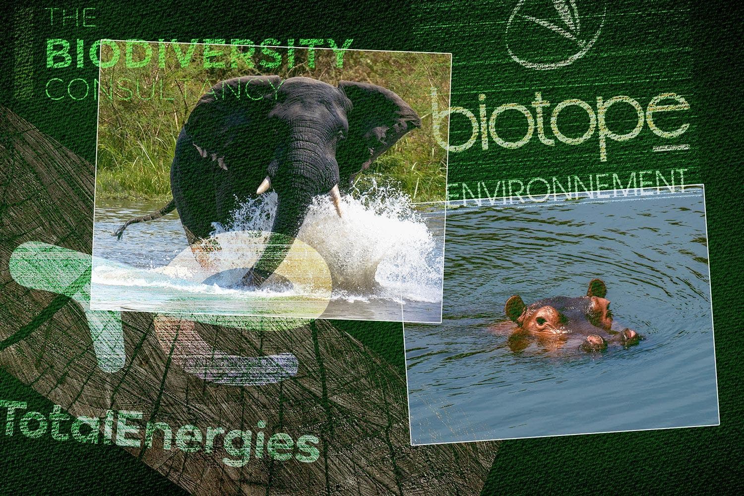 TotalEnergies’ Tilenga Project destroys a Ugandan national park, backed by questionable permits