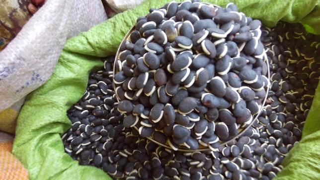 FarmBiz TV : Unexploited potential of dolichos/Njahi bean.