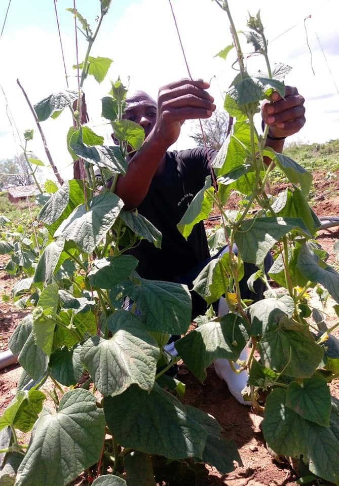 Team of agricultural graduates in Busia County training farmers on crops production for food security