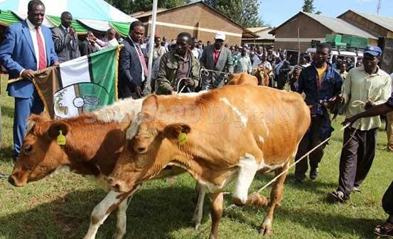 Kakamega dairy law to relieve farmers from over-reliance on sugarcane farming