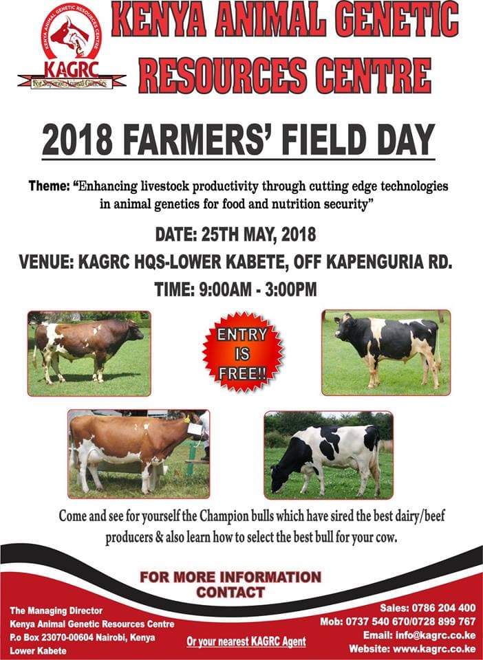Government agency to train farmers on how to improve their cattle breeds for free
