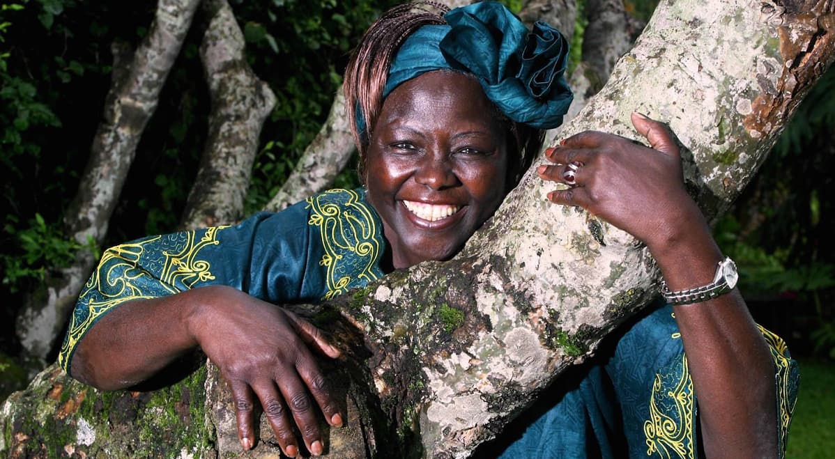 Too Early For Birds to pay tribute to Wangari Maathai in new play