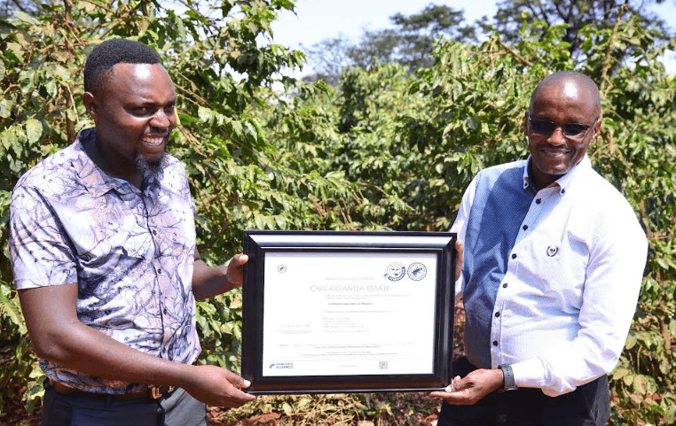 Climate change drives push for regenerative agriculture in Kenya’s coffee sector