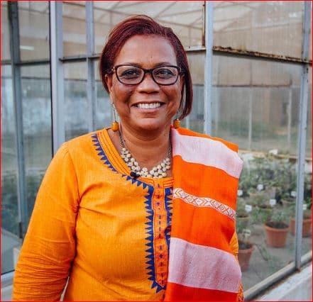 Opinion: Finding the sweet spot of Africa’s agriculture