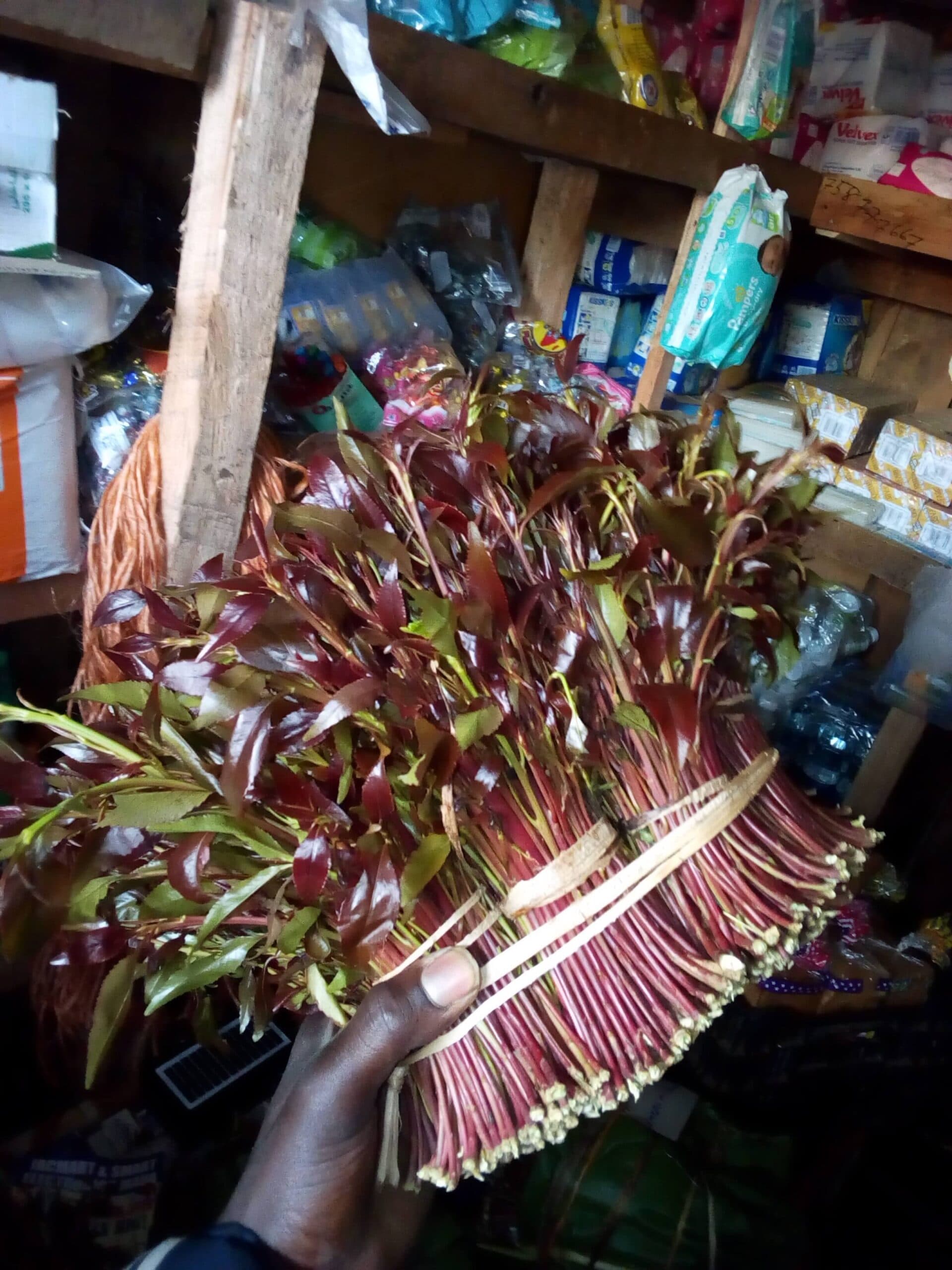 Govt: We have found a market for miraa in Israel