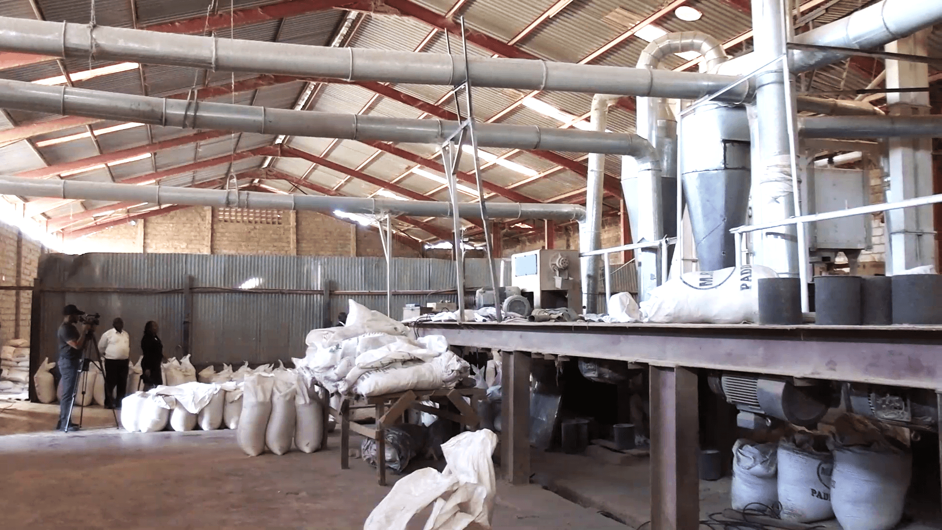 State Steps In to Rescue Mwea Farmers Amid Rice Market Glut
