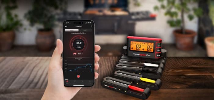 Do You Really Need a Wi-Fi Meat Thermometer?