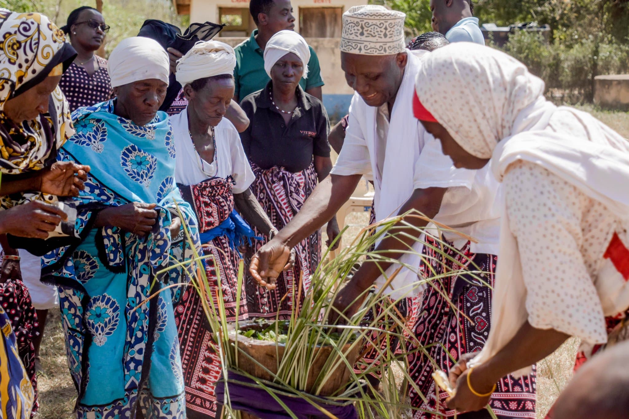Ganze traditional healers embrace hospital referrals to improve healthcare