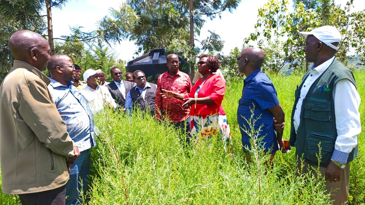 KVDA inspects tree nursery ahead of El Niño rains