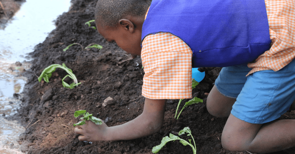 KCIC disburses Sh10.4M to 36 schools to actualize 4K Club projects