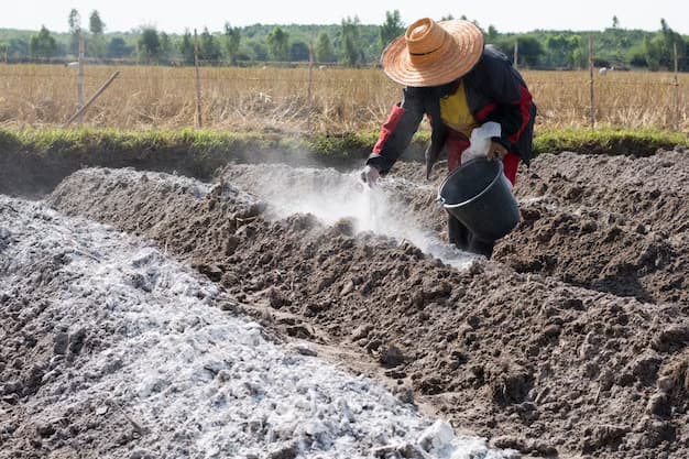 Factsheet: Understanding Soil Liming