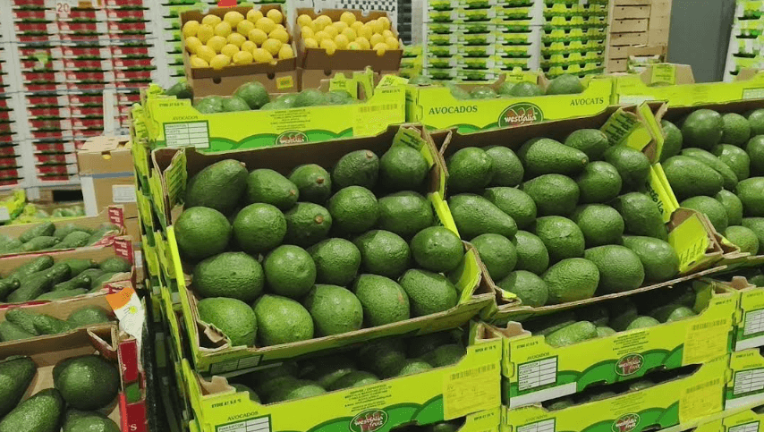 East Africa horticulture sector to launch regional council in Nairobi