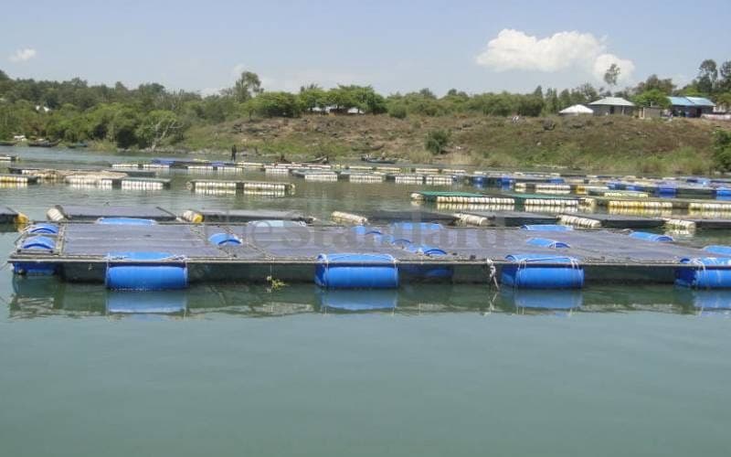 L. Victoria commercial fish farmers contest state position on levies