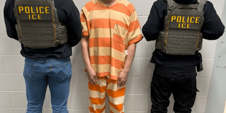 ICE Names Private Prison Insider as New Acting Chief