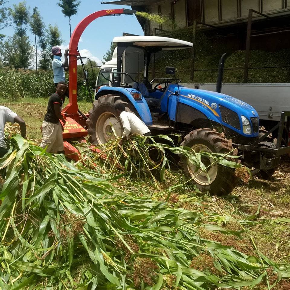 Accountant earns double from dairy and hay production after quitting job