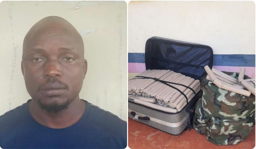 Vigilant Public Exposes Marijuana Trafficker’s Ruse of Using Students as Cover