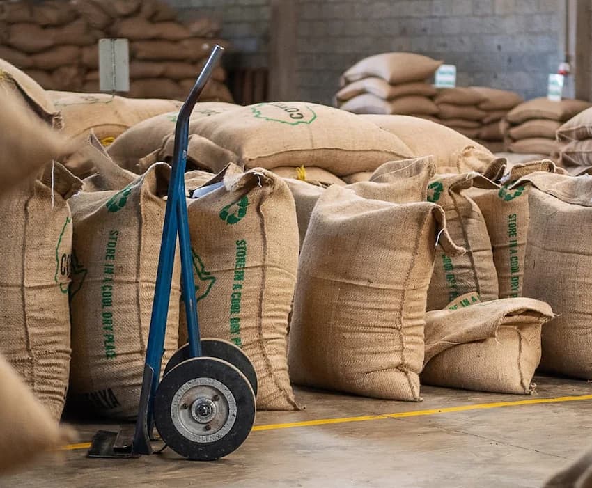 5 Dealers Dominate Nairobi Coffee Exchange
