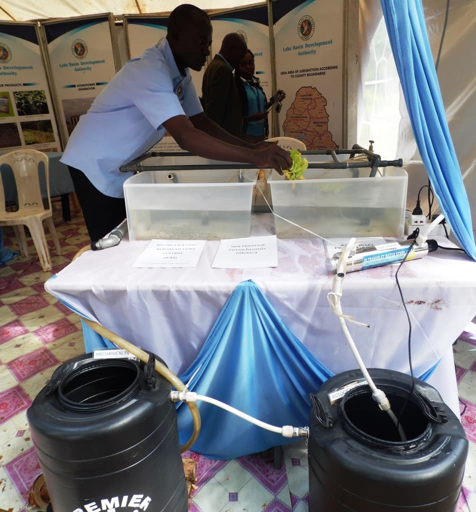 Tank fish farmers can purify water for reuse with Sh75,500 kit