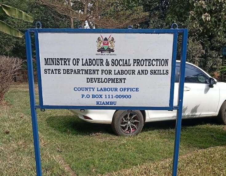 Fear hindering workers from reporting labour violations