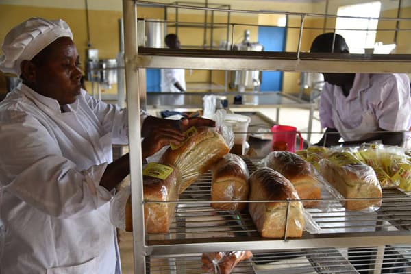 Vihiga farmers build banana processing plant, provide market for growers