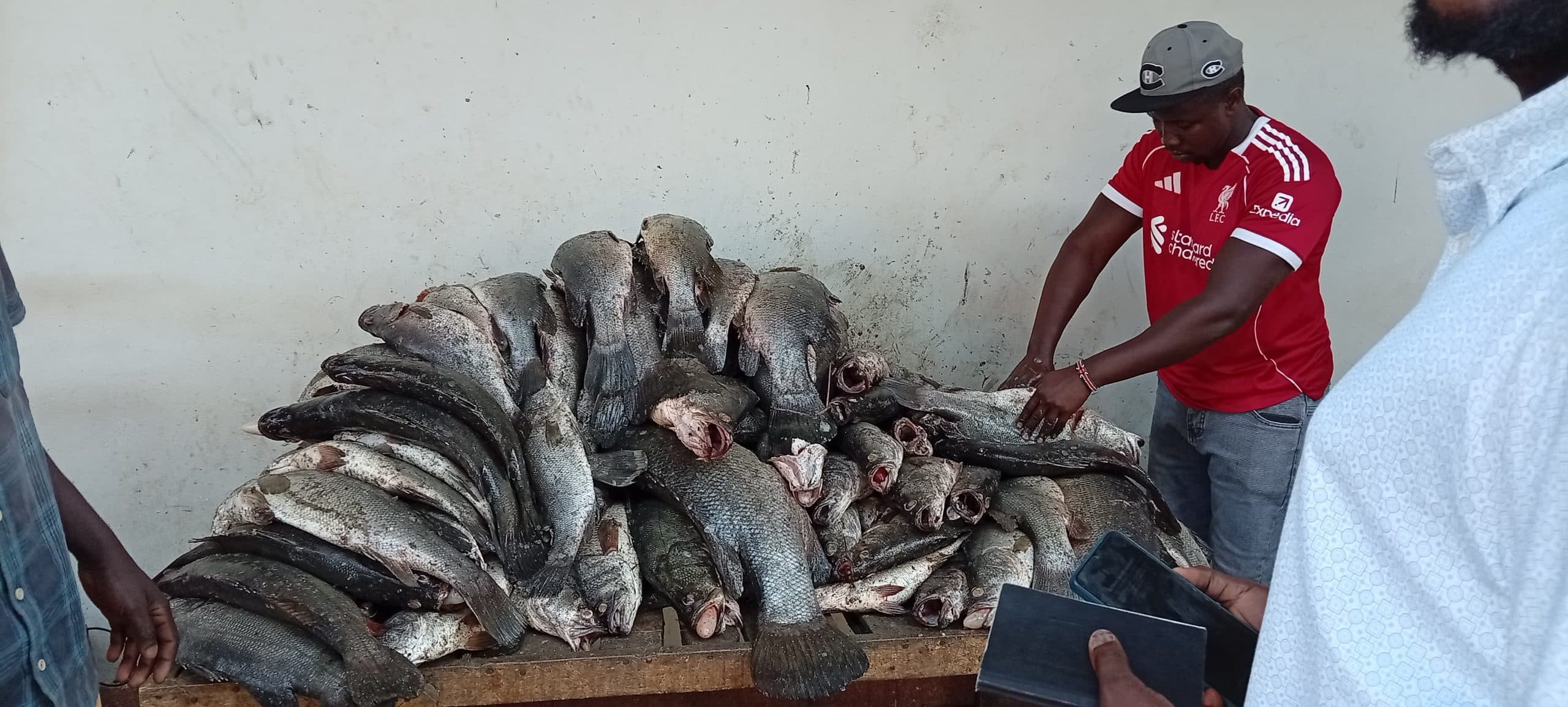 Fish traders in Homa Bay welcome cold storage facility, seek improved infrastructure