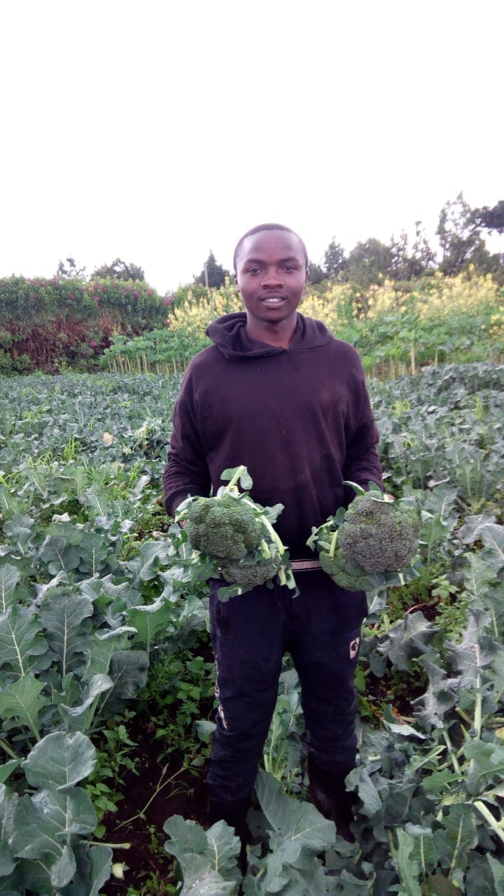 Young broccoli farmer banks on new South Korea market